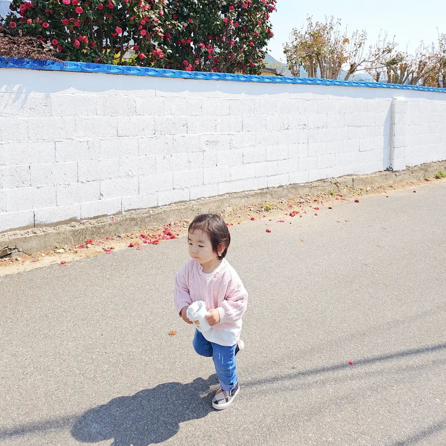 ♥

제주도같은 겸이 함모니네 담벼락