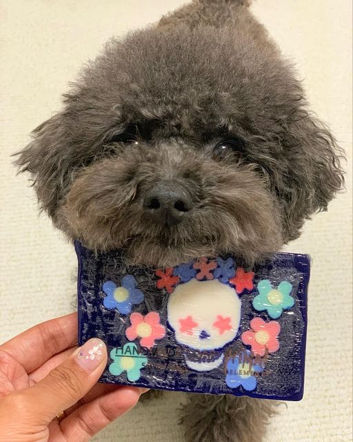 귀요워서 요미 on Instagram: "#광고 미국에서 온 100% 핸드메이드 바디솝🫧 프라이멀엘리먼츠 바디솝 슈가스컬 ▫️합성 계면활성제가 첨가되어 있지 않은 바디솝 ▫️풍부한 거품 발생 ▫️