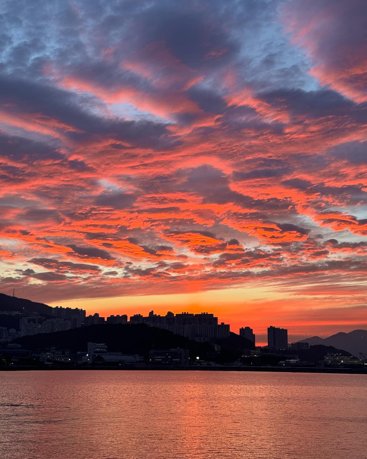 🌅