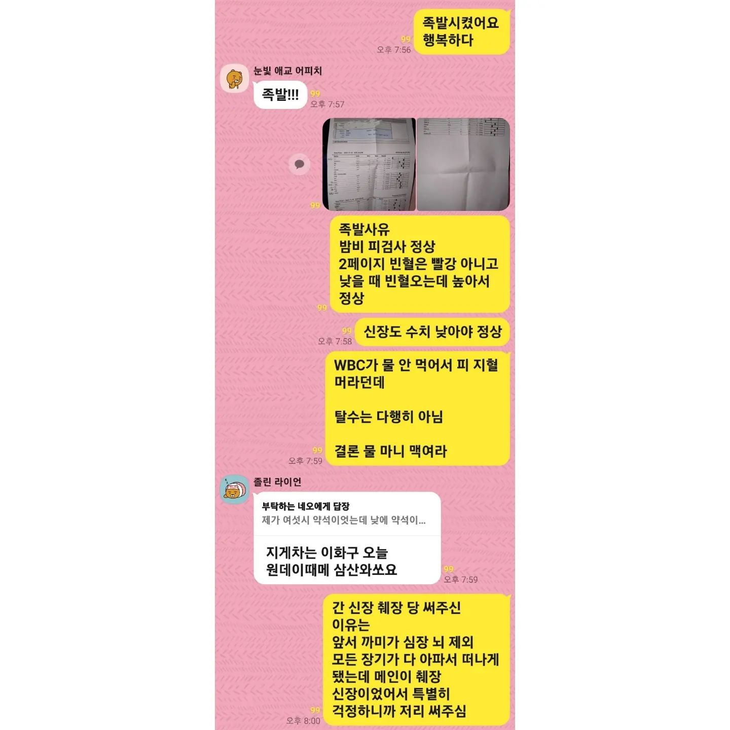 우리 밤비 급체한거 3일이면 나을 줄 알았는데 낫지를 않아서 다시한번 약 탐

그와중에 신장 췌장 걱정되서 피검사 했는데 다 정상

기뻐서 나 족발시킴ㅇㅇ