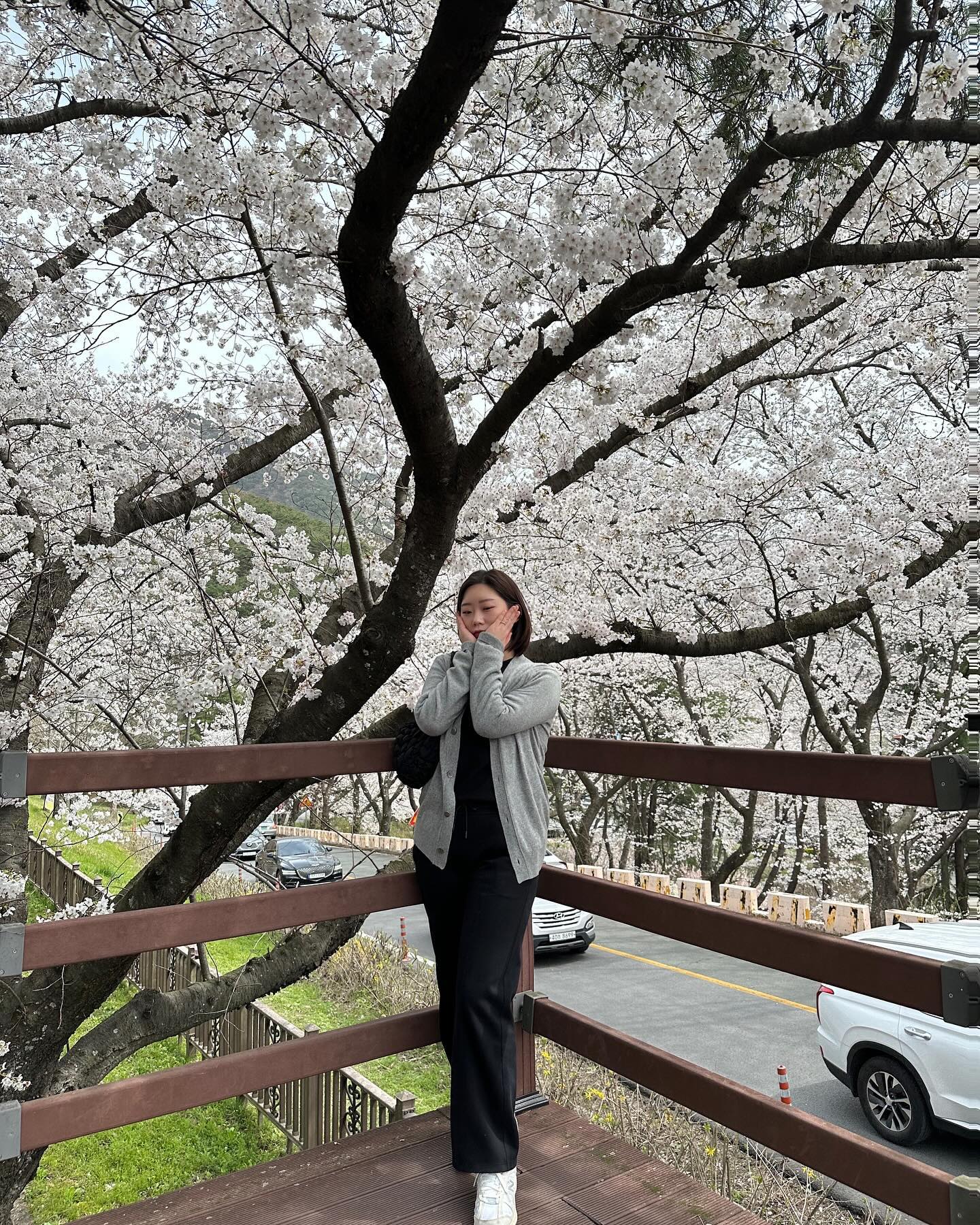 벚꽃 구경 가야지?!🌸✨

#밀양벚꽃명소 #삼랑진벚꽃길 #벚꽃