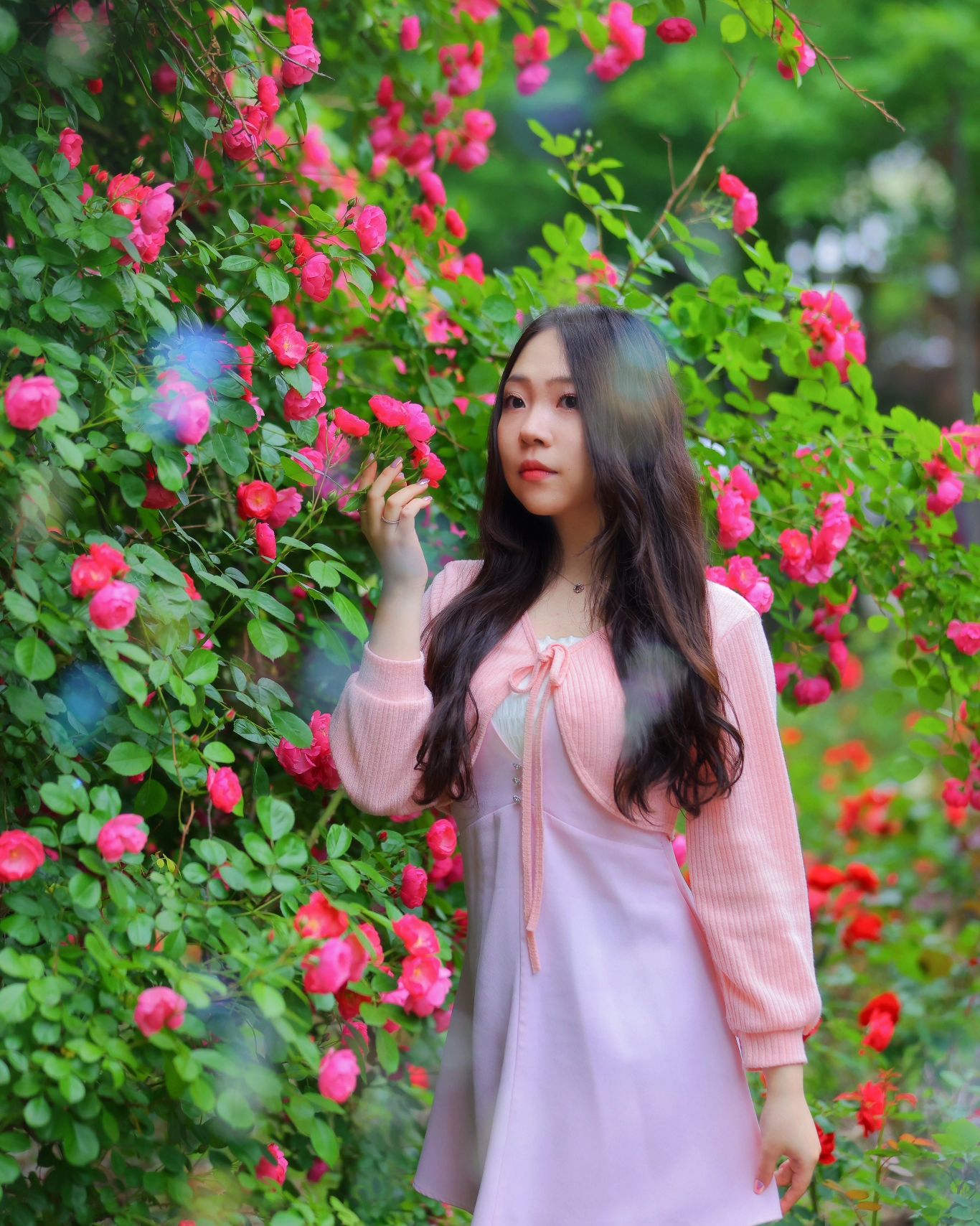 꽃이 예쁘게 핀 5월의 어느날...🌹🌺🌸❤️🩷
P:ephesians5_16
감사합니다아☺️🌟