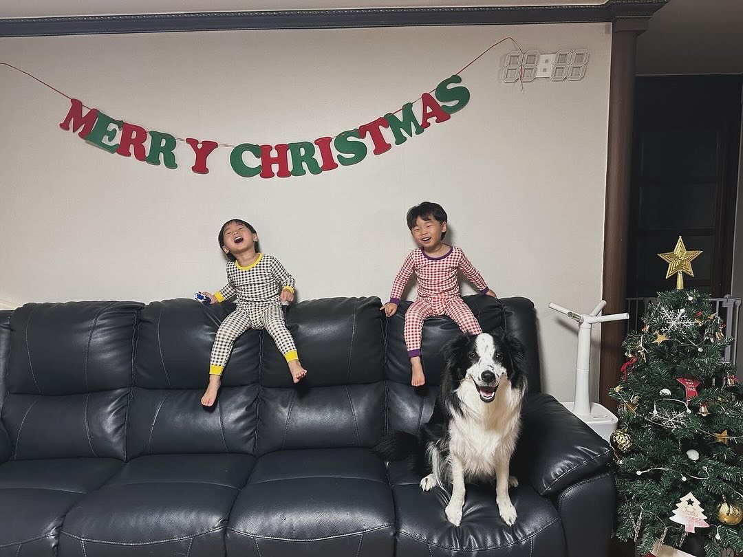⠀⠀⠀⠀⠀⠀⠀⠀⠀⠀
ᰔ+1187
𝑯𝒂𝒑𝒑𝒚 𝒎𝒆𝒓𝒓𝒚 𝒄𝒉𝒓𝒊𝒔𝒕𝒎𝒂𝒔🎄
.
#멜크