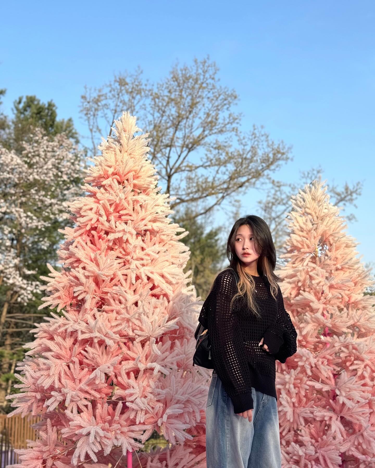 핑크 싫어 인간의 핑크 세상 탐험기
