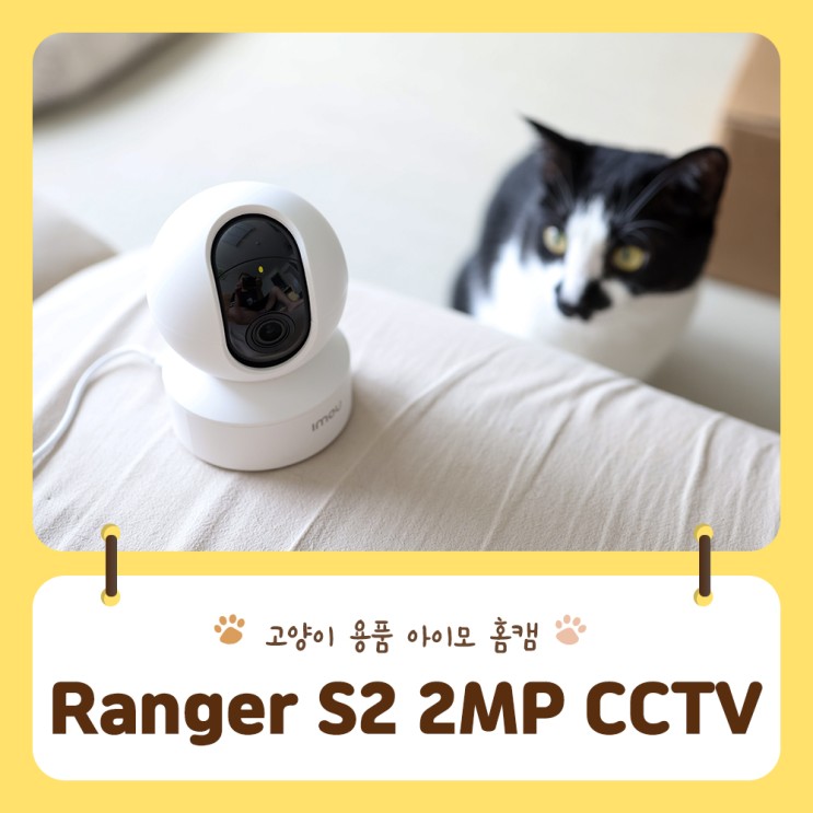 반려동물이 있는 집이라면 펫캠의 최강자 아이모  Ranger S2 가정용 홈캠으로 집밖에서도 집사의 분리불안을 이겨내요