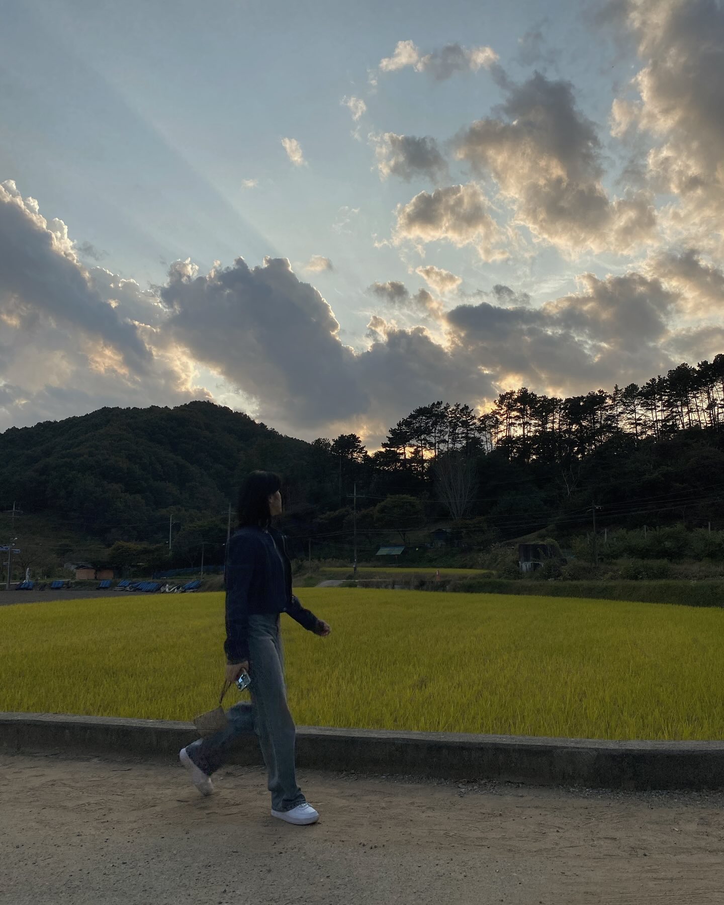 산책의 밀도

조용한 바깥이다
가벼운 공기는 길 주위를 맴돌고 눈은 싱싱하고 자유롭다
바람이 터놓은 길에 연인들이 걸으며 다독다독 정을 내고
구름길에 서툰 마침표를 찍을 곳 이리저리 궁리 중이다
헝틀어진 풀잎의 내심, 다 안아 주고도 그렇다