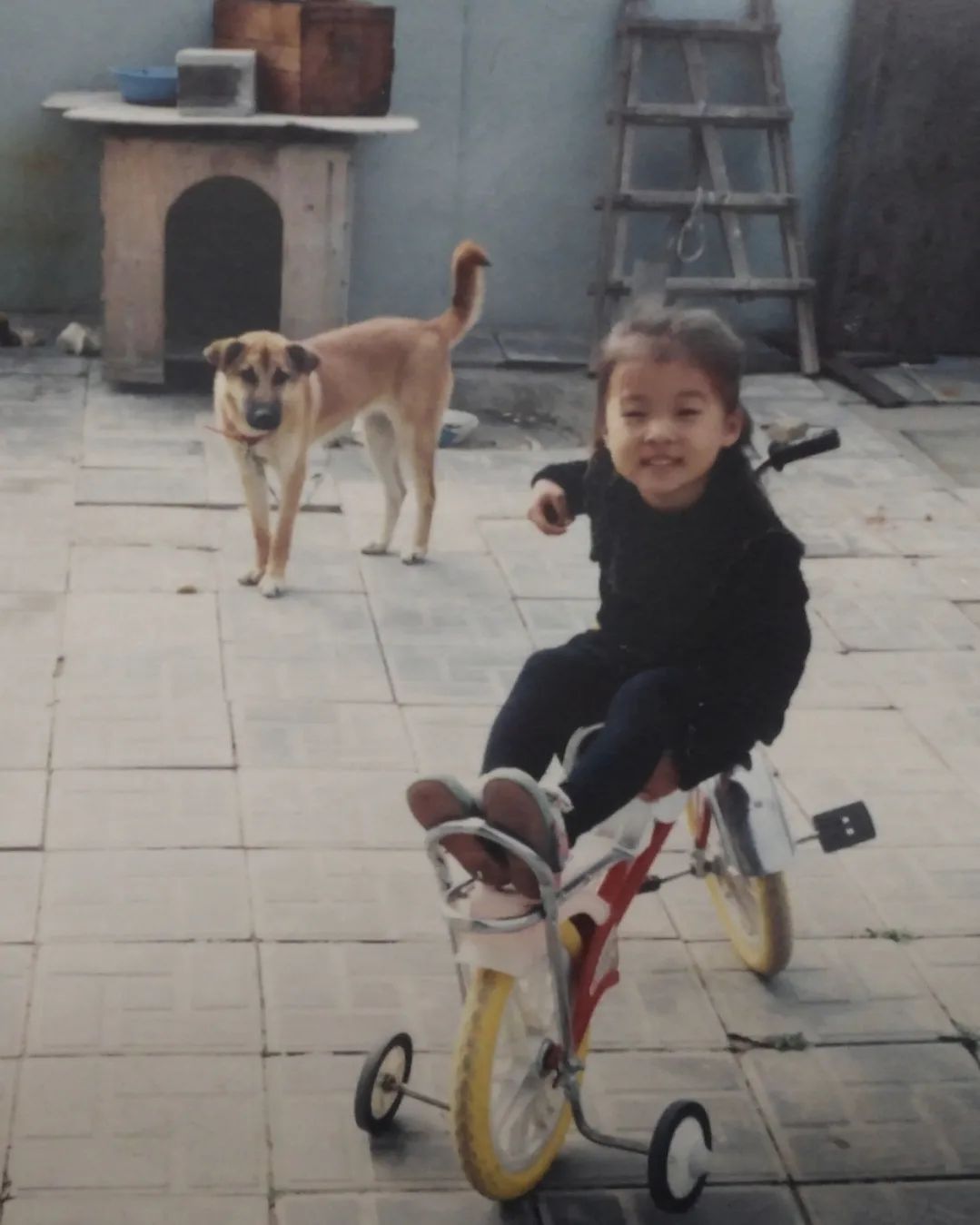 내보물💌 #엄빠가찍어주신 #어린시절사진 #🐶힙한어린이
#홈