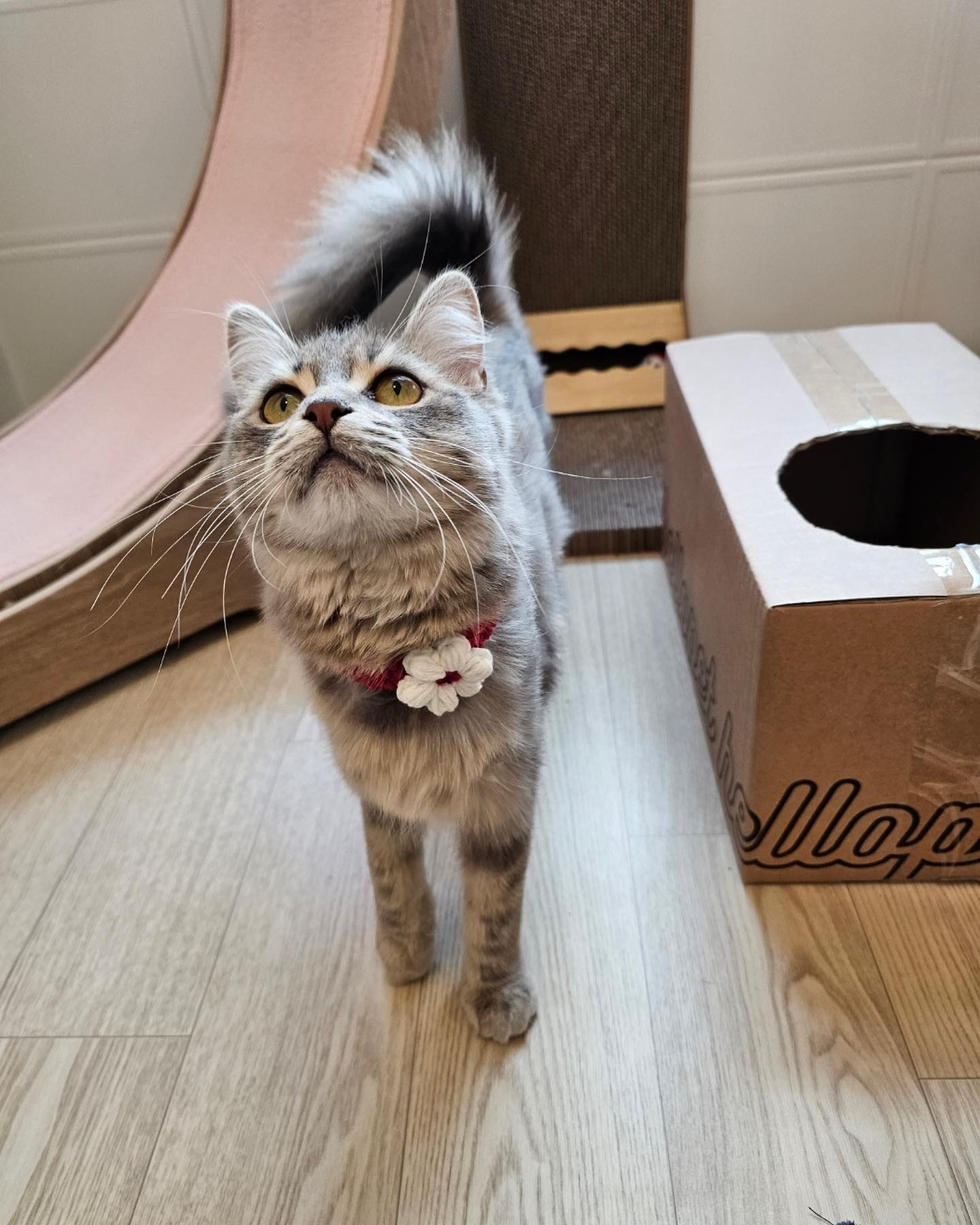 콘텐츠