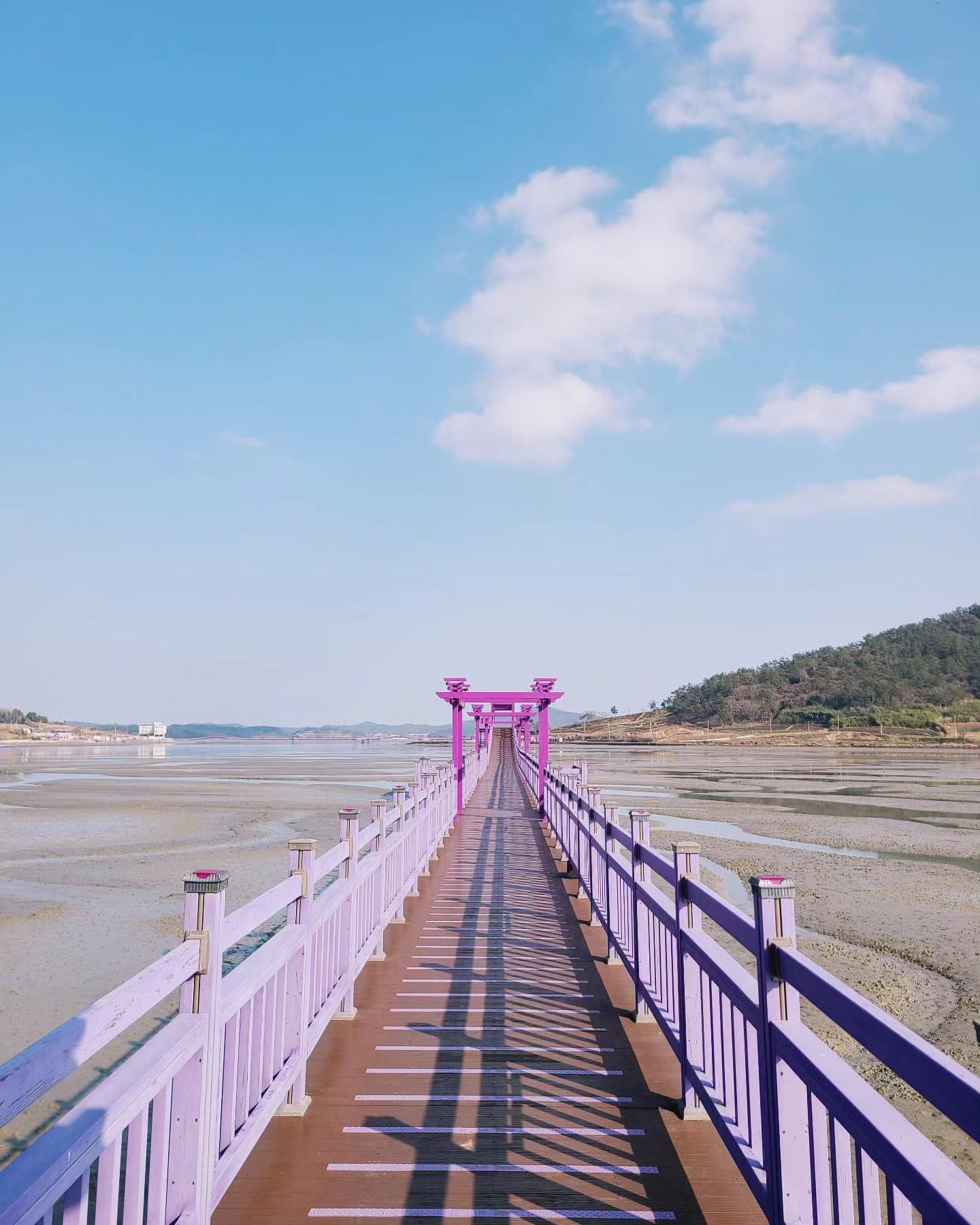 #천사섬 #퍼플교 #신안여행 #자은도여행