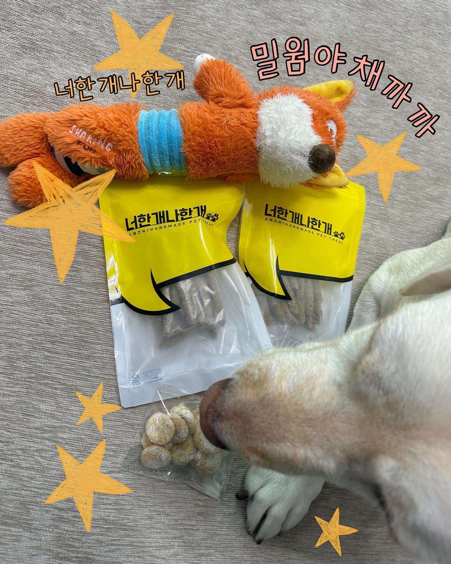 #협찬 #업체로부터제공받은제품입니다💝

칭구들 안뇽🖐️크림이가 알러지없는 맛있는 강아지간식을 가져와봤어🩷

바로 너한개나한개 밀웜야채까까야☺️

식용곤충인 밀웜을 사용한 요 간식은 육류보다 5-80%의 높은 단백질과 미네랄햠량을 가졌는데 지방함량은 낮아 더 건강한 간식이야😀❤️

게다가 육류 알러지가 있는 친구들도 문제 앖이 먹을 수 있지😉💕

밀웜외에도 브로콜리, 파프리카, 고구마, 퀴노아, 블루베리 등의 채소와 과일이 들어가 건강 업😄❣️

고구마와 블루베리등이 들어가 기호성이 매우 좋아서 야채를 안먹는 댕댕이들, 편식 댕댕이들도 잘 먹는다궁🧡

또한 영양소를 최대한 살리기위해 저온에서 건조해 더욱 영양가득🩵

건조간식이라 묻어나오는것도 없고 과자처럼 바삭해서 급여하기도 편하고 식감도 재밌어하더라구💜

포장재도 이중으로 되어있어 혹시 모를 변질위험도 최소화하고 겉부분 포장재는 지퍼백이라 급여후 남은건 보관하기도 좋아💛

그리고 모두 HACCP 인증을 받은곳에서 만든 신선육을 사용하고 사람이 먹어도 되는 원료들로 까다롭게 엄선해 만들어서 믿고 먹일 수 있지👍⭐️

또 주문시 제작하는 수제간식으로 합성첨가물 일체없고 방부제도 사용하지않은 천연간식이라 더더욱 좋지🖤

크림이는 보상으로 그대로 급여하거나 알맞게 쪼개서 노즈워크간식으로도 사용하고있어😍😍

기호성은 얼마나 좋은지 침을 질질 흘리고 개인기도 잘하고 주자마자 바로 먹어치운다니깡😏❤️‍🔥

생각보다 딱딱하지도 않고 부드러우면서 바삭한 과자느낌이라 노견, 어린강아지도 무리 없이 먹을 수 있으면서 크림이같이 급하게 먹는 댕댕이들은 이빨을 이용해 먹어서 삼킬위험도 적어🥰🥰

현재 크림이 최애 간식으로 열일중인 너한개나한개 밀웜야채까까 강아지간식‼️‼️

건강한 수제간식&알러지 없는 간식&급여하기 편한 간식 찾으면 밀웜야채까까 간식 강추해💝

ㅡㅡㅡㅡㅡㅡㅡㅡㅡㅡㅡㅡㅡㅡㅡ
uninos_pets_life 

#강아지간식 #강아지껌 #강아지영양간식 #애견간식 #강아지수제간식 #개껌 #져키 #츄르 #트릿 #애견육포 #유니노스 #강아지과자 #너한개나한개 #노즈워크 #소형견 #중형견 #대형견 #고양이간식 #애견간식추천 #강아지져키 #강아지육포 #사료보조식 #멍팔 #멍팔맞팔
