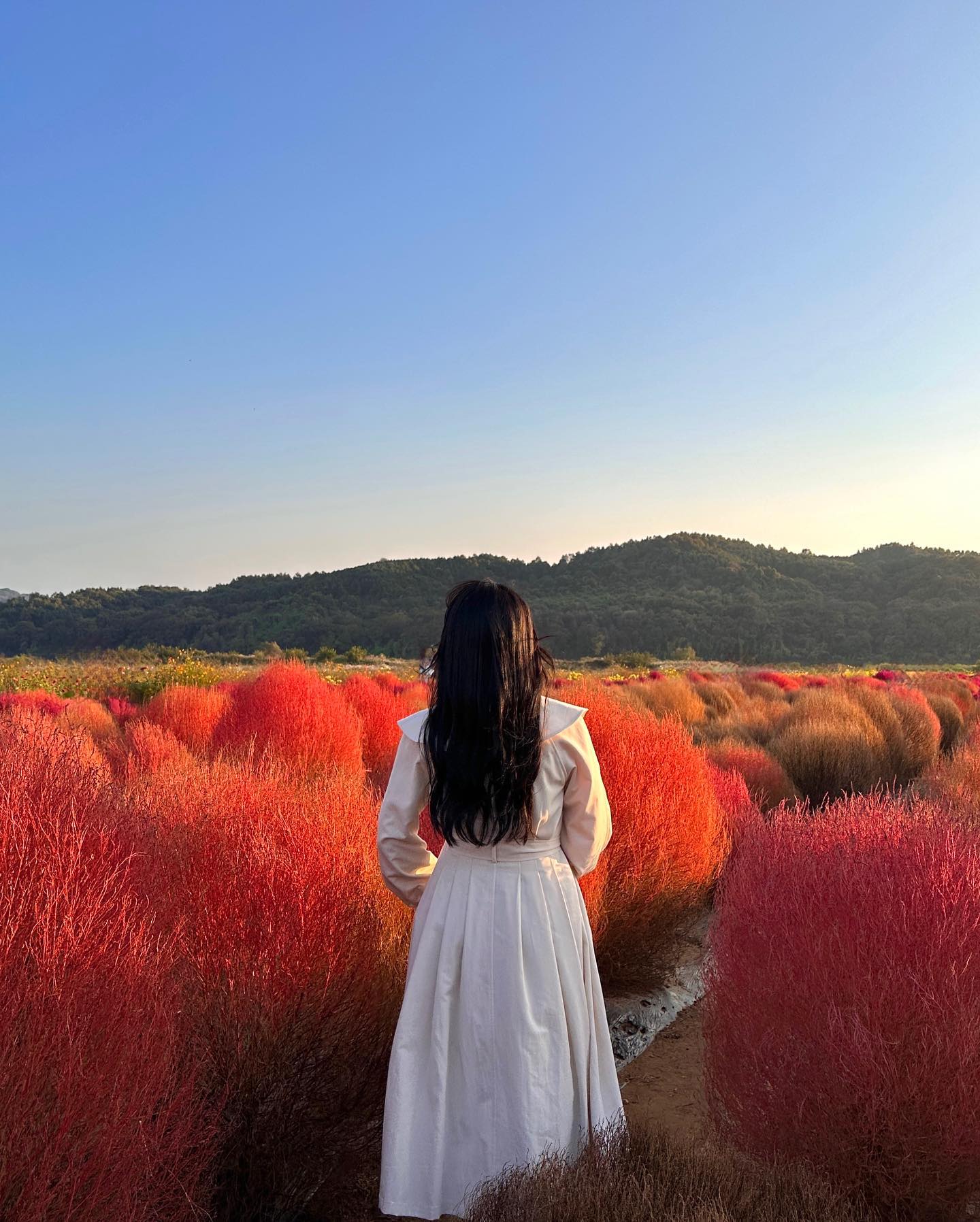 내 피드는 아직 가을🍁🍂