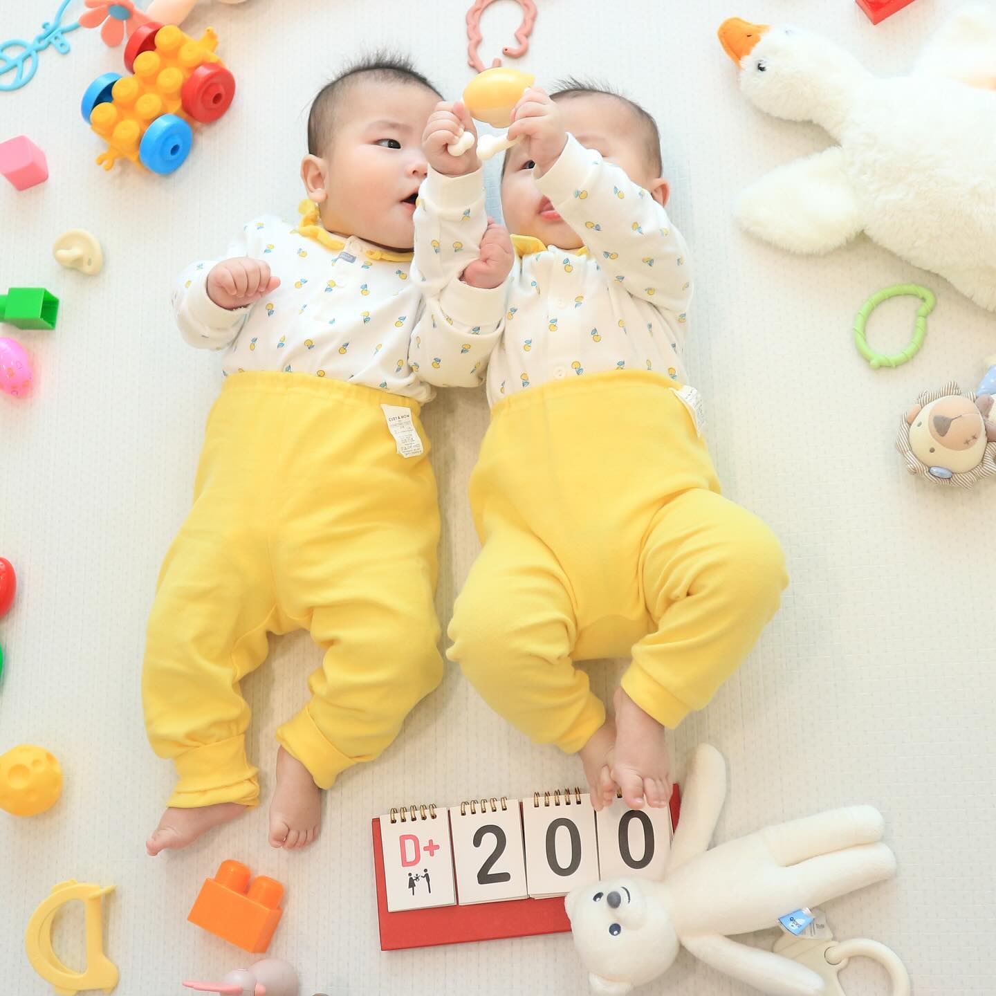 24.02.23 +199

뱃속부터 친구친구 💛