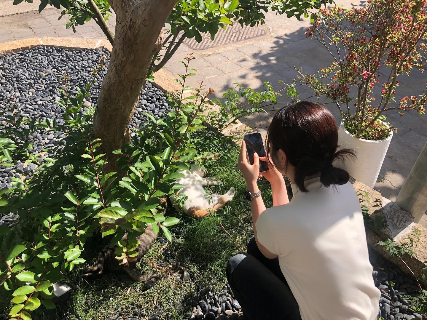 경주 쿨타임이 차가지궁