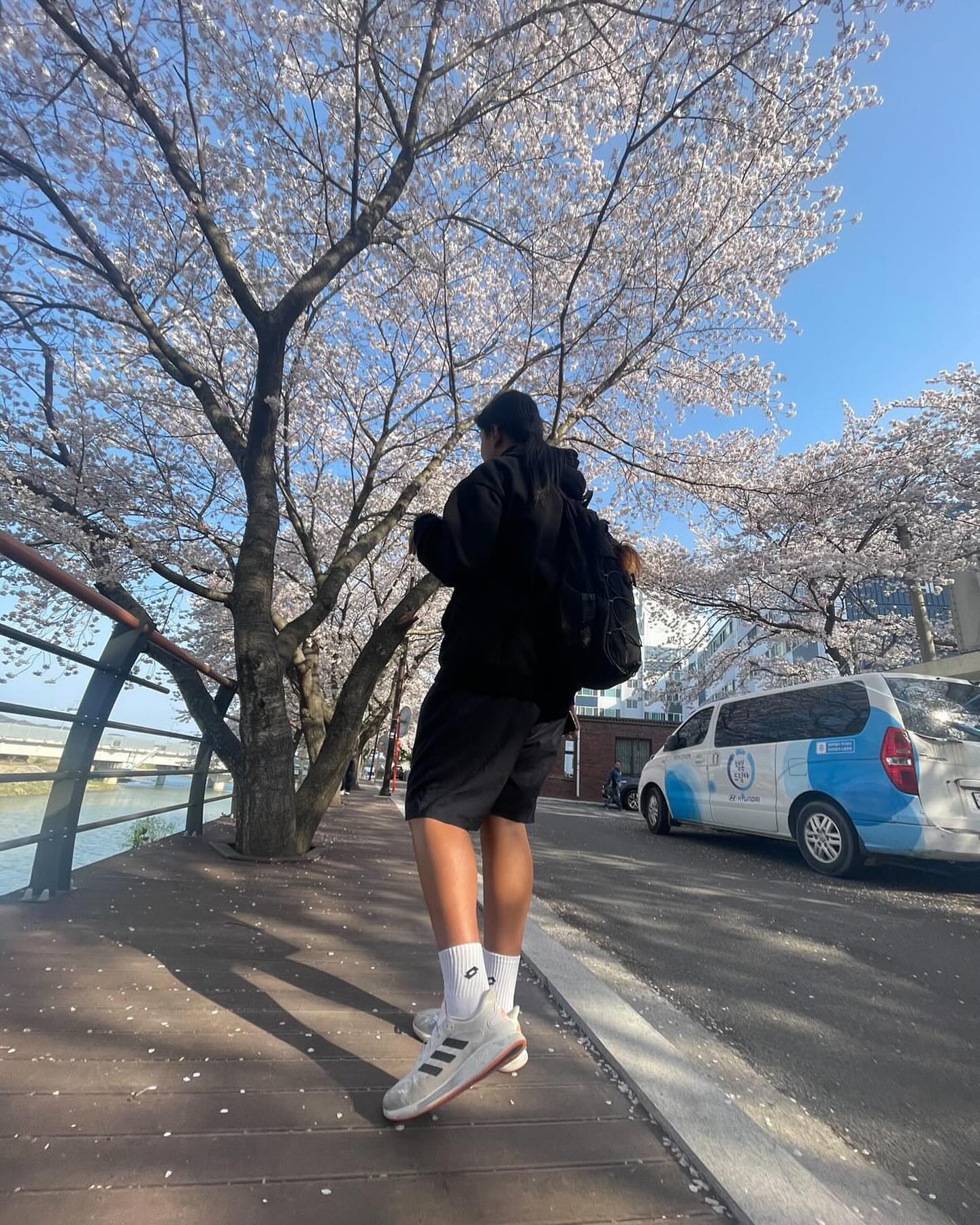 아~벚꽃나무 🌸🩷😋