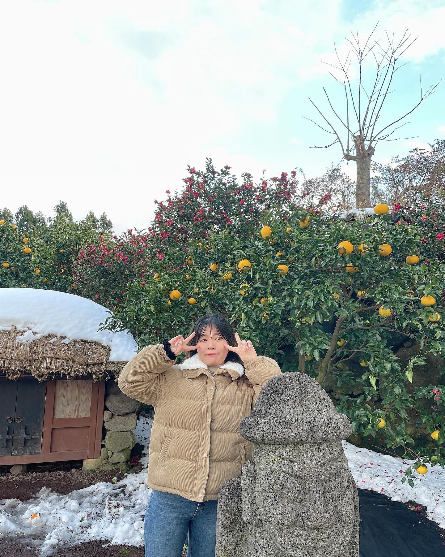 #제주도휴애리 #동백꽃 #유자나무 🍊