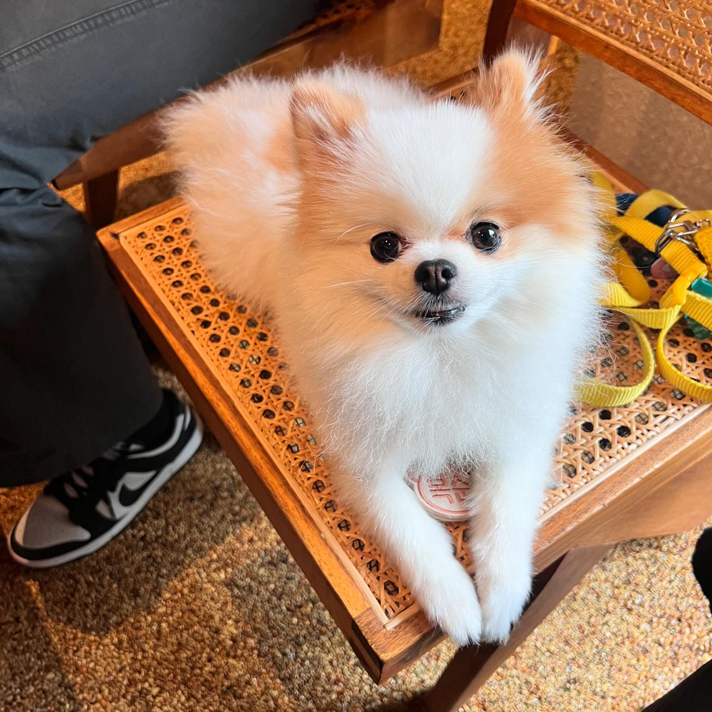 ⠀
이모무릎에 한가득 마루복수니와 수니네집에 모인아이들❤️
보기만해도 너모귀엽고 행벅해
마지막은 귀여운지아의 꿈나라...🌙