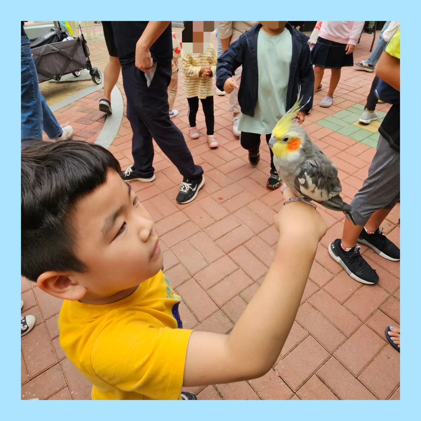 #첫줄
동물보러가서는
새란 새는 다 손에 올려보고 온 날🦜
.
.
.
.
.
#육아소통맞팔 #육아일상 #닭띠맘 #아들맘 #도치맘 #형제맘 #인스타베이비 #69개월아기 #육아소통 #육아일기 #밀린피드 #좋테 #6살아기 #육아맘 #울산대공원 #짹짹 #육아피드 #9월 #추석연휴 #육아스타그램 #동물원 #사랑해 #워킹맘 #이쁜아기 #아기모델 #부산 #좋반 #선팔 #언팔싫어요