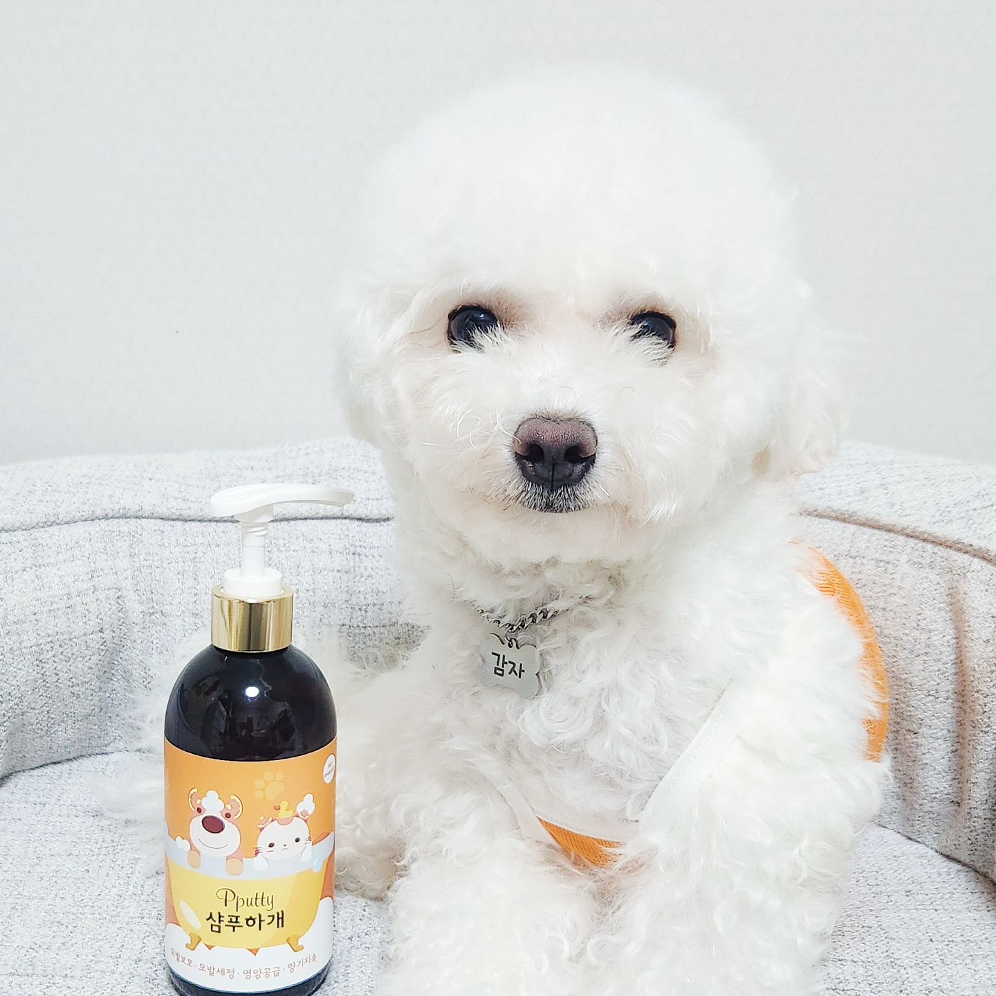 #협찬

샴푸하개로 뽀송해진 감자 🧼 

🧡 저자극 샴푸

🧡 편리한 올인원

🧡 의약외품 

🧡 천연샴푸

🧡감자 후기🧡

거품도 잘나고 향기도 너무 좋았어요!
특히 씻기고 나서 털이 보들보들해지고 윤기도 좀 나서 좋은것같아요 😖
요즘 이 샴푸로 씻겨주고 있는데 감자가 피부가 좀 약해서 샴푸에 신경을 많이 쓰고 있는데 너무 좋은것같아요 👍🏻👍🏻

#광고 #샴푸하개 #펫샴푸 #강아지샴푸 #강아지발샴푸