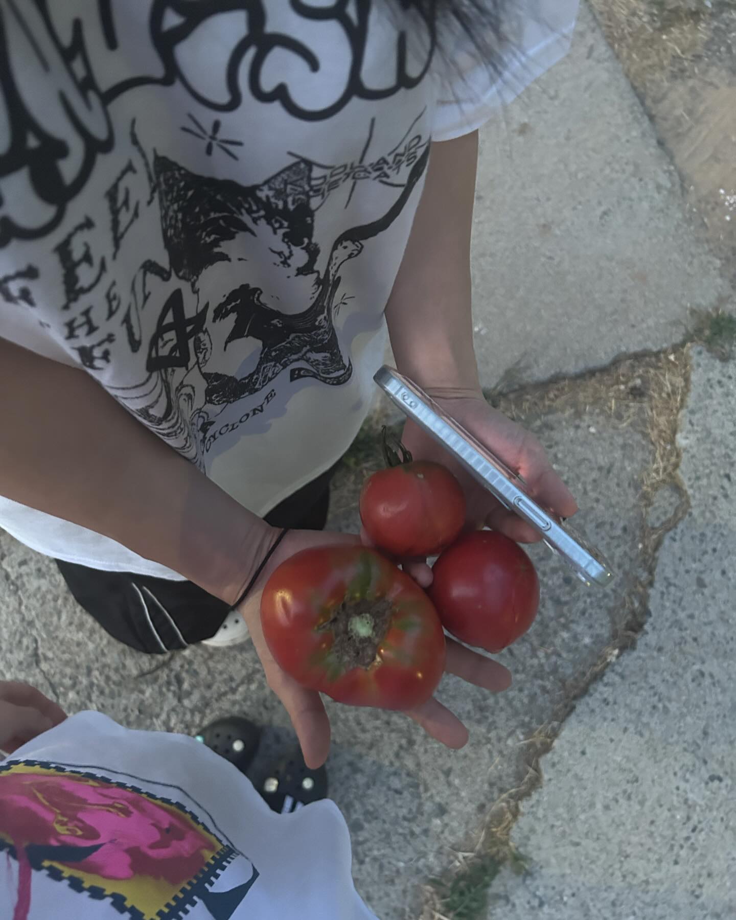 🍅