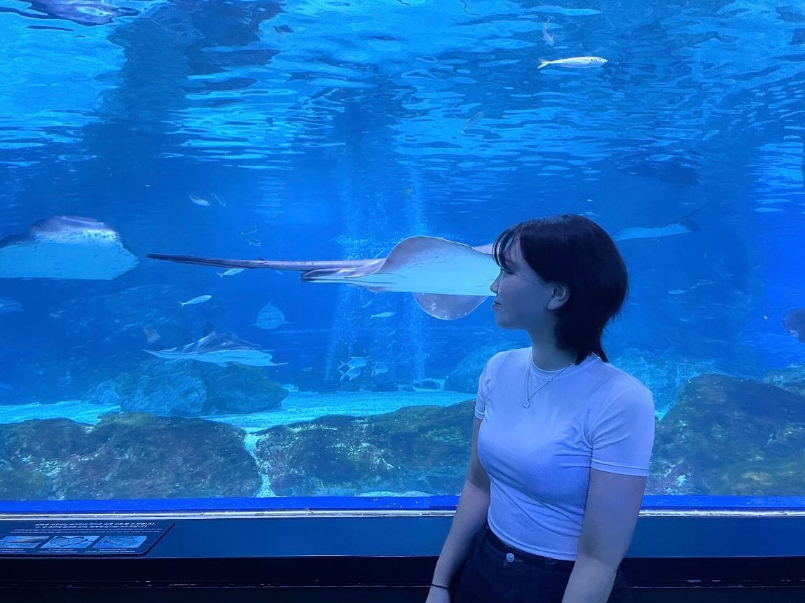동물의 숲 속으로 보내줘 🍃