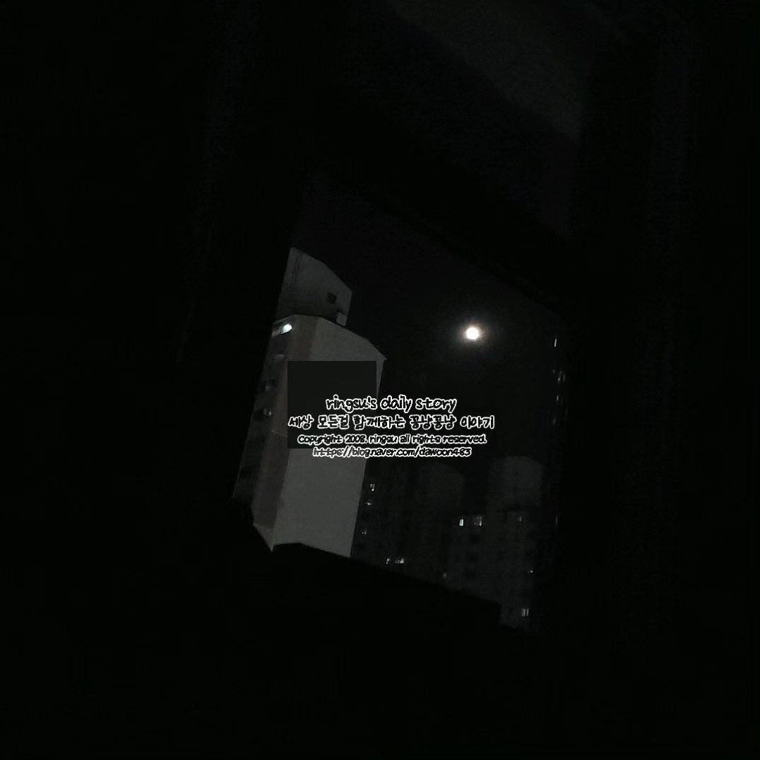 내일 퇴원이다.

내가 원해서 하는 퇴원은
아니다만은 일단은 해야 됨.

애들도 병실에서 점점
힘들어하고 나도 지침;;

이게 누굴 위한 입원이고
치료를 위한 입원인가
싶은데 다행히 애들은
많이 좋아짐...나는 더 엉망ㅠ

2번
발목 아파요,
무릎 아파요,
머리가 쿵쿵 거려요(결국 진통제 먹음),
코피 두번 줄줄;;;;

3번
그냥 울고 떼쓰고
뒤로 넘어가고 뒹굴고
달래도 안달래지고
먹지도 잠들지도
못하고 진짜 개고생
왼쪽병실에서 뭐라하고
다음 날은 오른쪽 병실에서
말도 없이 문열고 들어와서
애가 너무 운다고......(ㅆ..ㅑ)

사고 다음 날부터
아이들도 나도 한약먹고
침치료 등 계속 받음.

그러다 그제(29일)
3번이 저녁 6시도 안되서
갑자기 기절하듯 잠들었고
밤에 단 한번도 안깨고
다음날 아침 6시에 일어남
무려 12시간을 풀로 자고
일어나서는 평소 식사량에
비하면 거의 안먹는 수준이지만
사고 이후로 제대로된 밥을
좀 먹기 시작 함..
그래봤자 국에 밥 서너숟갈이
전부였지만 그동안 이것도
끼니때마다 안먹고 못먹고
울고 불고만 해서 다행이다
생각했고 그 뒤로 경기하듯
울고 보채는건 점점 줄어서
오늘은 낮잠 재우고 2번한테
깨지않게 잘 봐달라고 하고
오후 치료 받고 왔다..ㅠ

2번은 3번과 교대인지
어제(30일) 저녁 6시에
잠들어서 오늘 아침 6시ㅋ
진짜 둘이 교대로 뭐해?ㅎ

이 녀석도 그러고 나더니
몸 컨디션 더 좋아져 보임.

아마 놀람, 긴장, 걱정
뭐 이런게 좀 내려간거겠지?

애들이랑 사고난게
처음이라 나도 엄청 당황했고
나도 아픈데 애들도 아프니..
코로나때도 그렇긴 한데
이거랑 또 많이 다르더라.

다시 겪을 일이 못 됨.
정말.

내 치료는 제대로 못받고
퇴원하는 느낌이긴 한데
그래도 애들은 많이 좋아졌고
밥, 빨래, 청소 안하니
그것만으로도 몸이 편함을 느낌ㅋ

나는 애 안고 침 맞고;;
애랑 같이 누워 맞고ㅡㅡ

오늘 오후치료에 원장님 왈,
애들이랑 오셔서 침도
더 못놔드리는데 등이 이미
엉망이라고 속상해하심;;;

아 그리고 1번은
오늘 신난거 같았음ㅡㅡ
혼자 있는게 어쩌고 저쩌고
징징대더니 오늘은
친구랑 놀다 들어갈거라며
엄마 집에 없는데 어쩔건데요~
느낌 시전하며 신났더라ㅡㅡ
이자식ㅋ

4277일, 2719일, 658일.
23년 10월 31일.

#엄마는아프면안돼 #아프면손해 #입원생활 #겹치고겹치고 #퇴원후 #병원셔틀 #기다려 #달려갈게 #인생이뭐이래