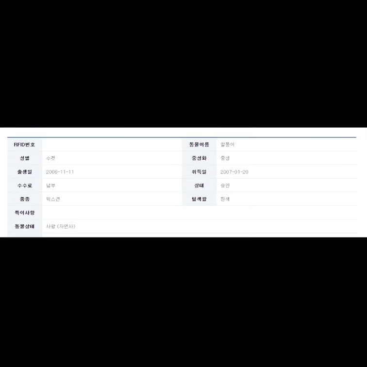 🚀2023.10.30🚀
오지 않았음 했던 날이 왔고, 1달동안 하루도 잊지않고 매일 생각하고있었는데 1달이란 시간이 벌써 흘렀네.

누나 손으로 사망신고를 하면서 아직도 믿기지가않아서 오늘 아침 계속 눈물로 보냈어😂

강아지별은 좀 어때? 잘지내고 있으면 좋겠다.
누나도 기다릴테니까 말똥이도 누나 기다려주라!

항상 잊지않고 누나가 기억할게❤
누나한테 와줘서 너무 고맙고 사랑해 내 처음이자 마지막강아지 퍼피야❤