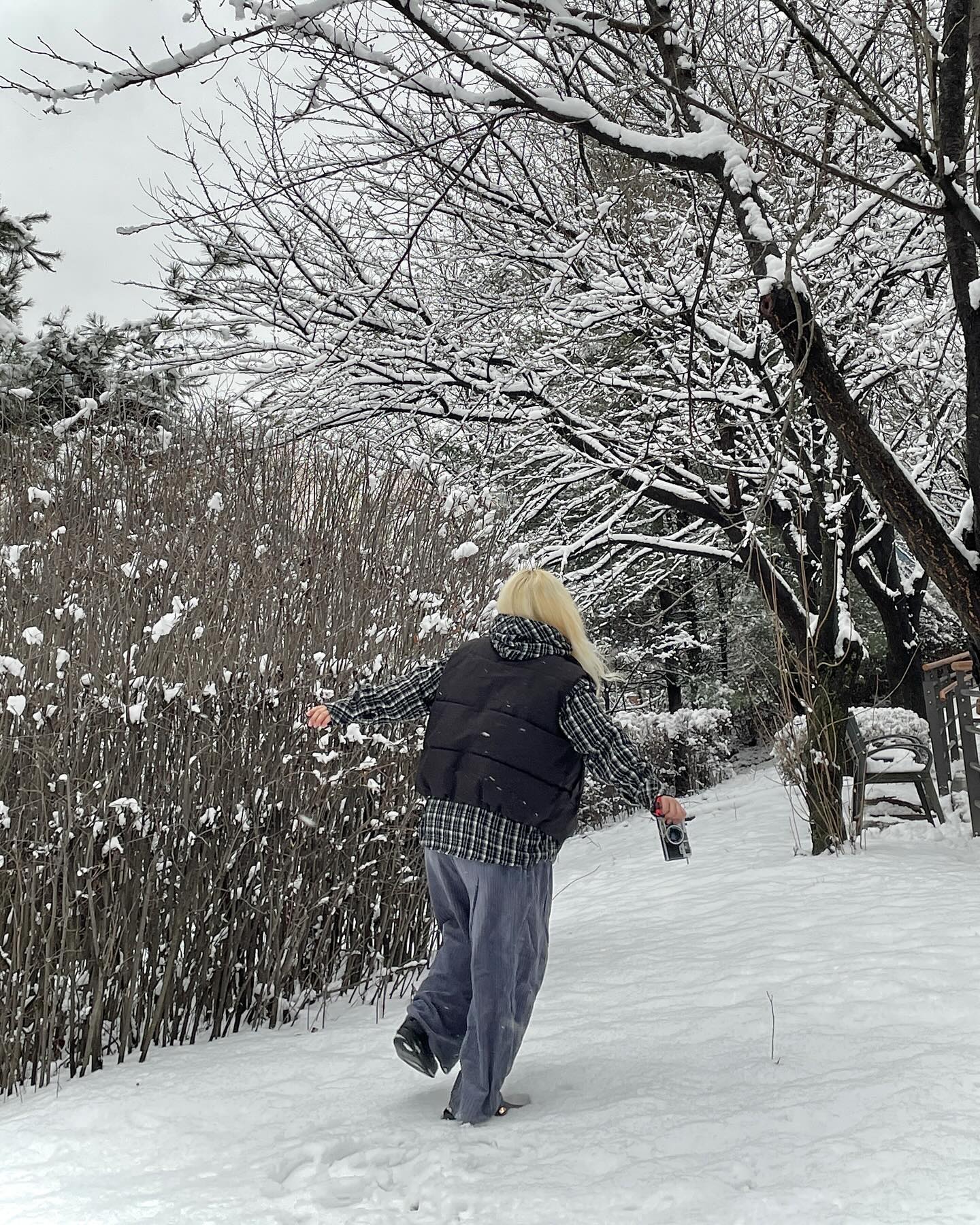 ❄️☃️🌨️🩵