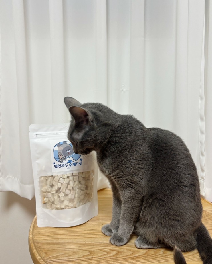 고양이 간식 연안부두 수제트릿 고양이들이 좋아해요
