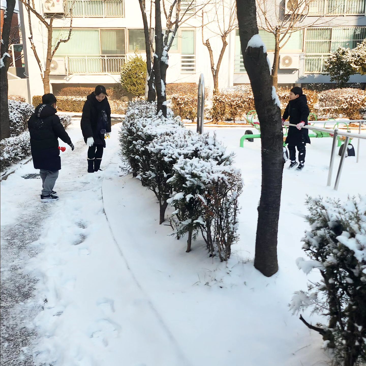 #크리스마스이브

며칠동안 몸살나서 병원진료받고 골골 거렸는데,
오늘에서야 괜찮아져서 다행🥲

밤새 눈이 많이 내려서 씐난 삼남매👧🏻🧒🏻🧒🏻
아침먹고 눈오리 만들고 눈싸움☃️

Merry christmas❤

-

#일상기록 #오늘 #워킹맘그램 #크리스마스 #🎄 #12월24일
#화이트크리스마스 #눈싸움 #눈오리 #행복그램 #❤

#스타벅스케이크 #도미노피자 #간식스타그램
#먹스타그램 #맛있다그램 #주말스타그램