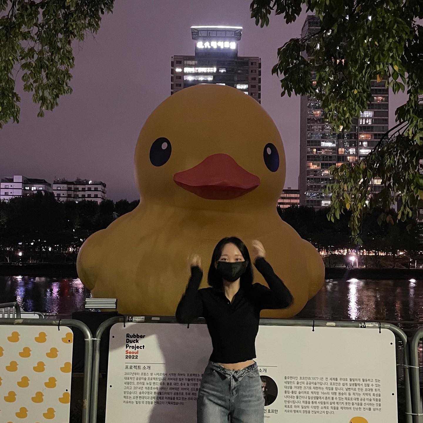 🐤