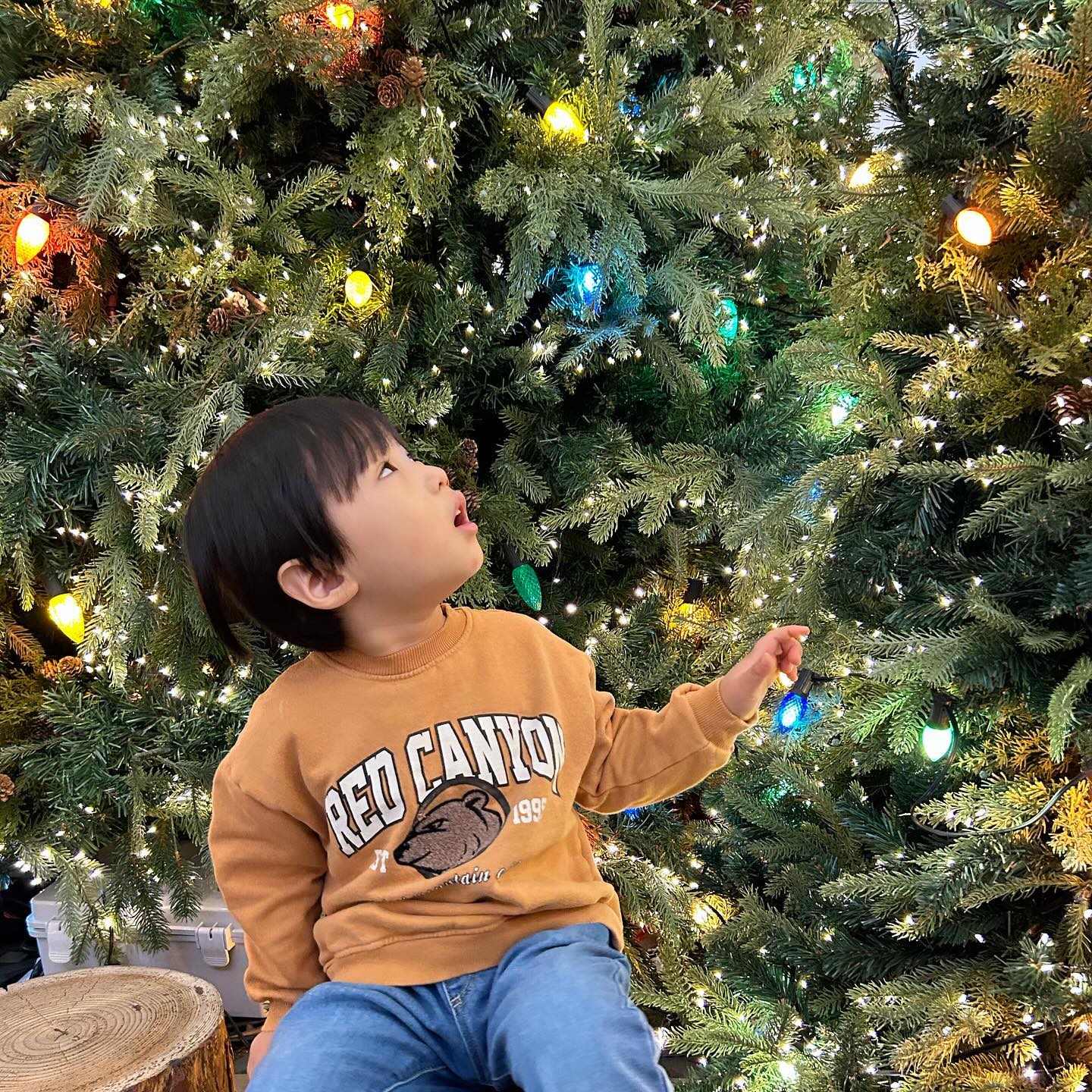 안뇽하세요 미리 크리스마스 🎄
이주니 오빠미예요 🎄🎄💚