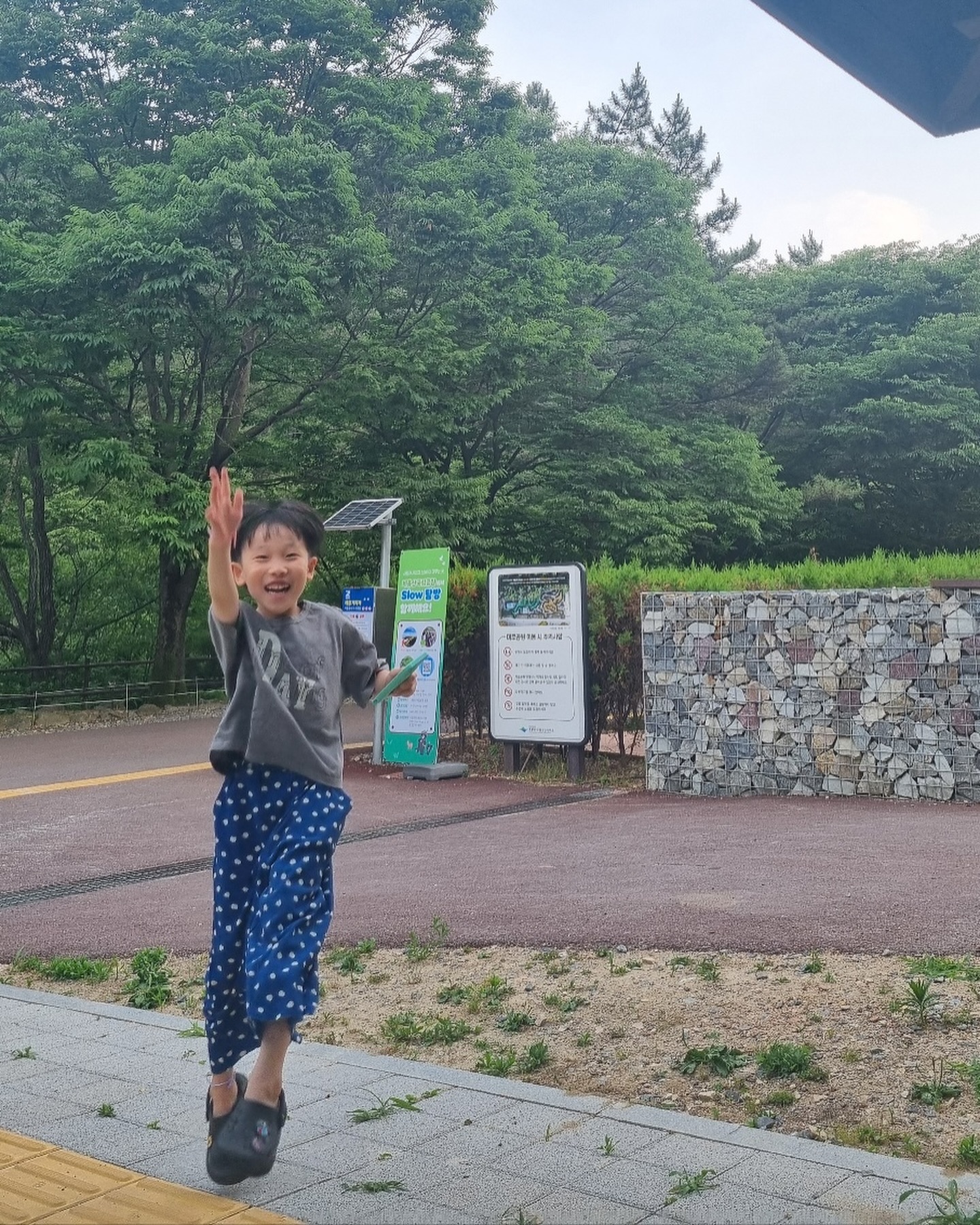 손주 사랑 듬뿍 받고 온 후니🌿

할파파랑 포켓몬고도 실컷하고 쌈에 진심인 후니 고기 굽굽도 하고
🤍🤍🤍

#주말기록
