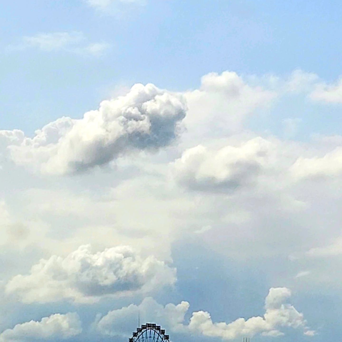콘텐츠
