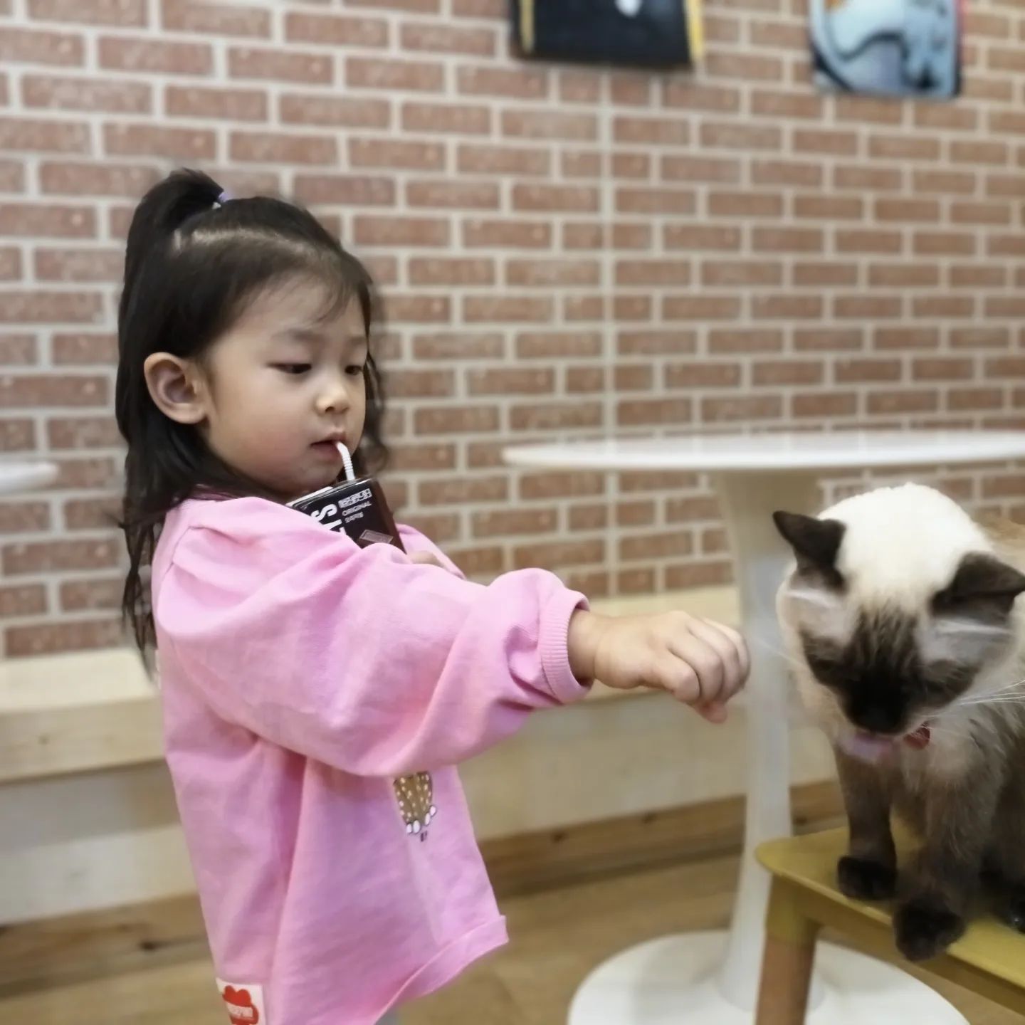 #고양이카페🐱 

야옹이 좋아하는 아윤이를 위해
방문이 기부가 되는 유기묘 카페방문
#집사의하루일산점 

냥이들 너무 순하고 사랑스럽❤️ 
아윤이의 행복한 시간

#찐미소😊