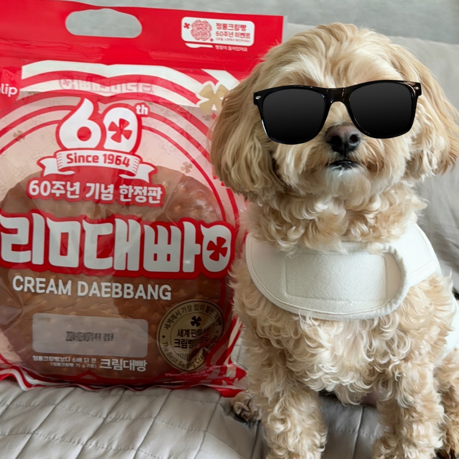 #크림대빵 사이즈는 제로보다 살짝 작습니다.
