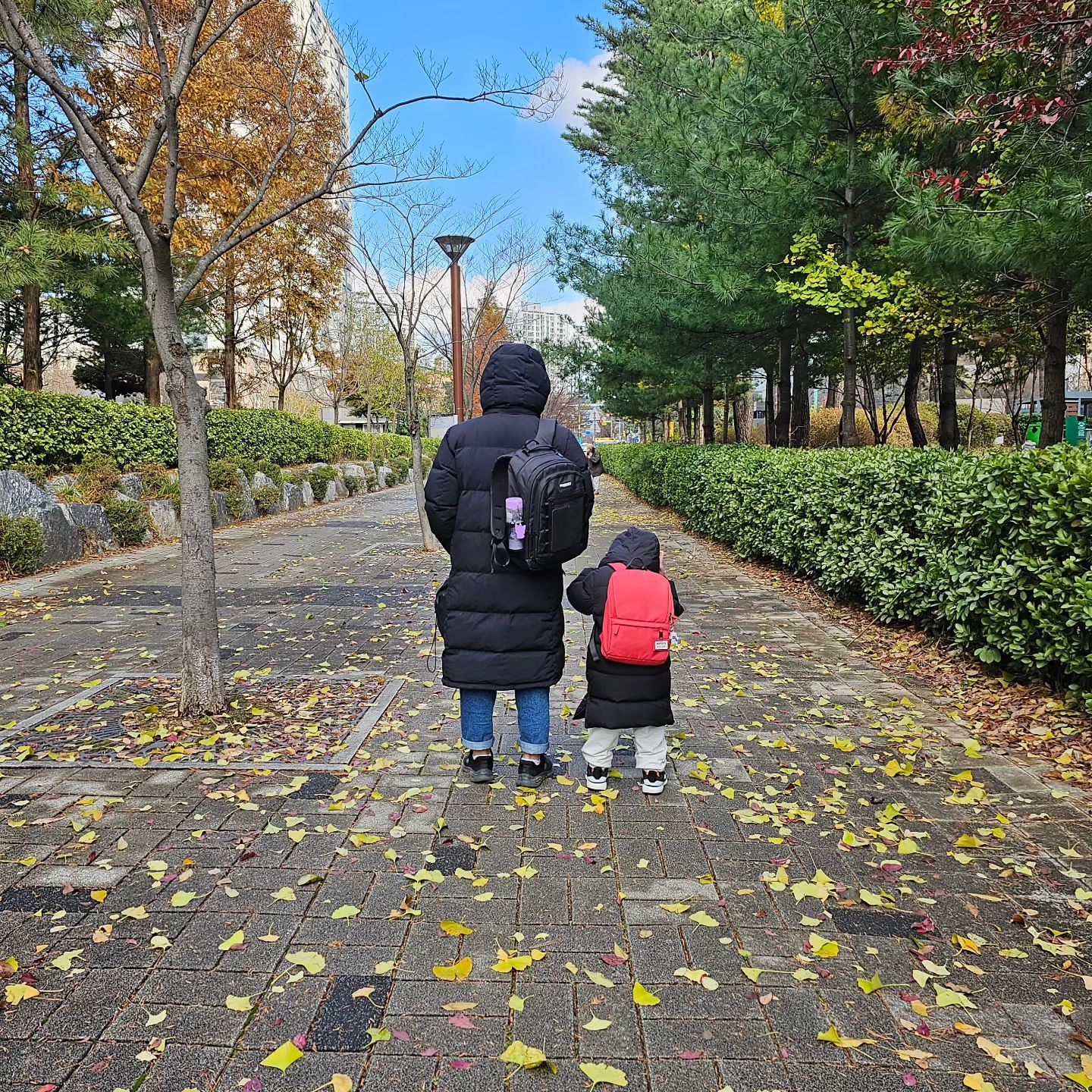 징글징글한 11월
아픈 게 한 번에 터져서 병원만 다니고..
이제 당분간 병원은 빠2

이제 곧 좀 있음 50대 찍는다고 여기저기 아프고
우리에게는 없다고 생각한 암.....??!!!!!!
진짜ㅋㅋㅋ 어이없었지만 그래도 일찍 발견해서 럭키👍🏻👍🏻👍🏻👍🏻

약 + 영양제 + 식단으로 건강 챙기기..!!
오빠 아직 우리 아기들 크려면 한참이다..ㅠㅠ
그만 아프자 이젠🙏🏻🙏🏻🙏🏻

charismalove56