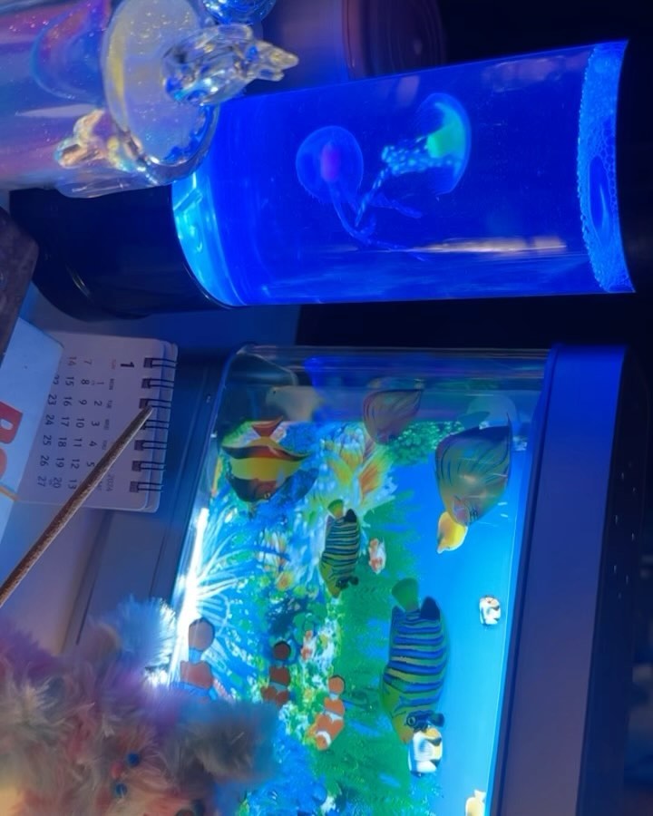 🪼🐬🐠🌊