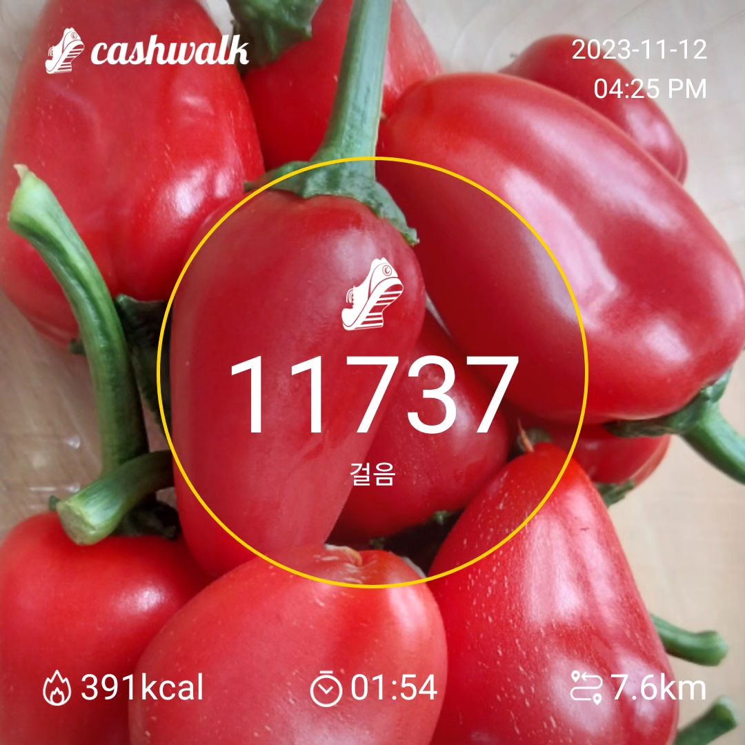 #캐시워크 #걷기 #러닝 #만보걷기 #캐만챌15기