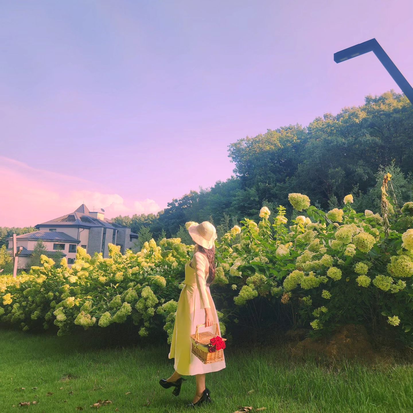 💜💜💜
어서오세요 가든 파티에 😀

#photooftheday#photography#photoshoot#gardenparty#gardeninspiration#dress#fashionblogger#fashionstyle
#노을#석양#사진#패션