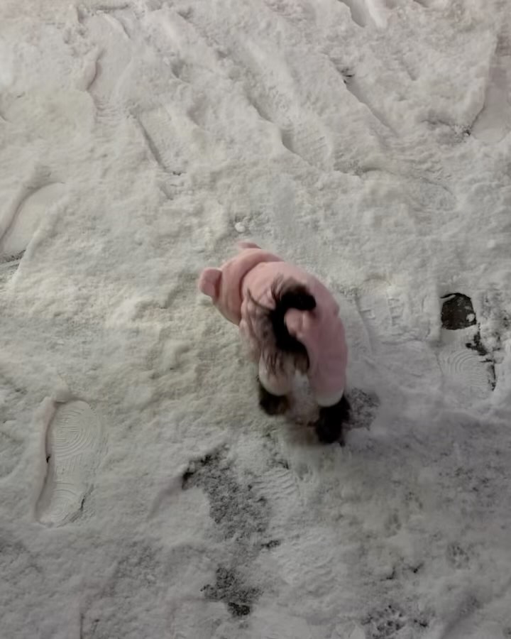 태어나서 처음 밟아보는͒ 눈 ⛄️
