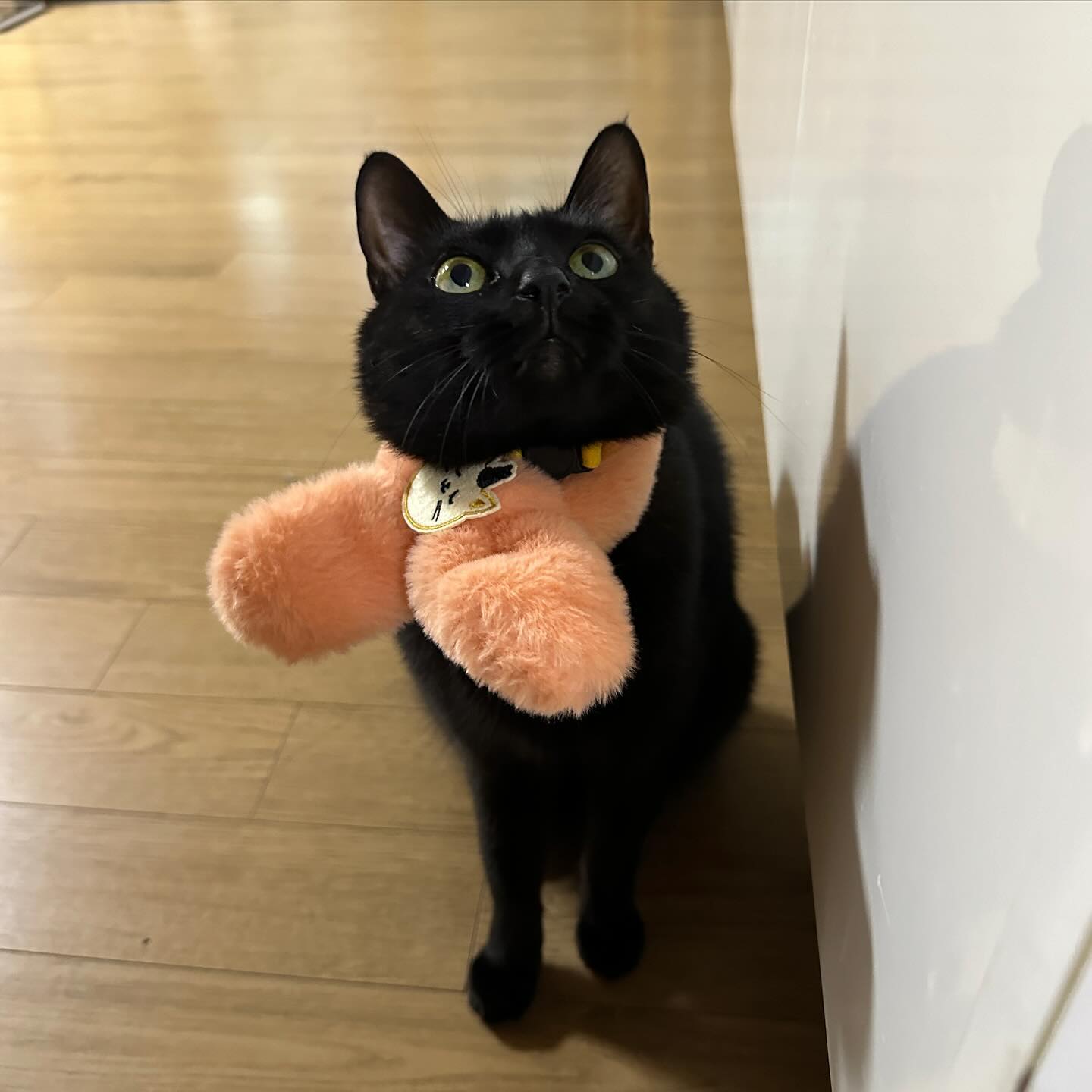 읏추읏추 겨울 나기