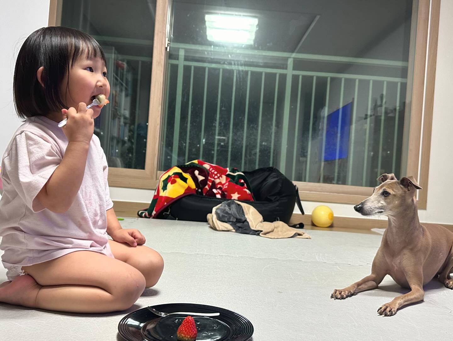 딸기 한쪽도 나눠먹는 사이❤❤❤