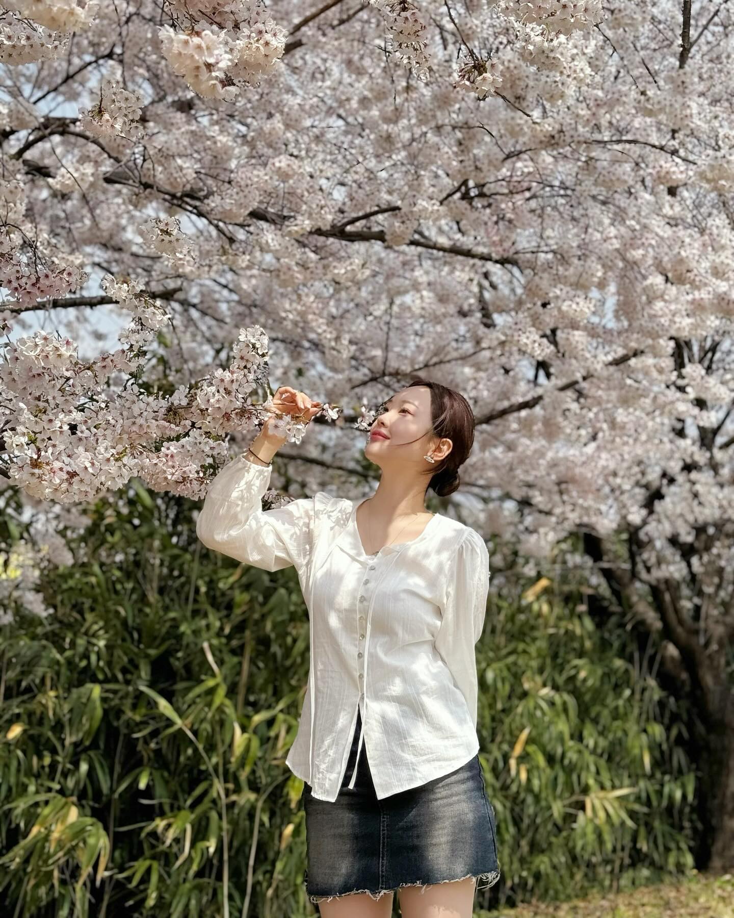 벚꽃의 꽃말은.... 내 생일*⸌☻ັ⸍*