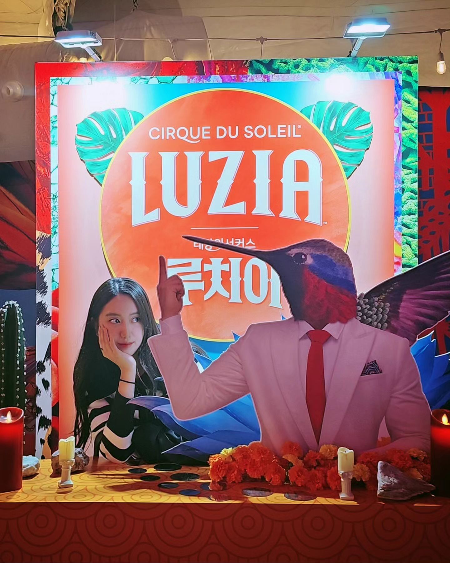 𝕃𝕌ℤ𝕀𝔸 🎪
-
태양의서커스 루치아✨
연말에 보고왔지만 지금 올리는 타임리프 포스팅
-
몇 년 전에 쿠자를 보고 재밌었던 기억이 있었는데
막공전에 친구가 보러 가자길래 호다닥 보고왔다 :)
-
역시나 재밌어!!짜릿해!!스릴넘쳐!!!
서커스 그거 뭐 뛰고 던지고 날아다니고 받고
그게 다지 똑같지 뭐...라고 생각했는데 
맞아 그게 다긴한데 너무 짜릿해ㅋㅋㅋㅋㅋㅋ
그 뛰고 던지고 날아다니는 걸 너무 잘하거든
-
몇 살이 보든 물개박수치는 4살 응애로 돌아가게 만드는 공연
-
#태양의서커스 #루치아 #cirquedesoleil #luzia 

📌
으에에...근1년간 귀찮아서 안올린 피드들이 너무 많아서
뭐부터 올려야 할지 모르겠다. 닥치는대로 시간순서 뒤죽박죽 올릴예정. 봄이었다 겨울이었다 여름이었다 가을일수도.