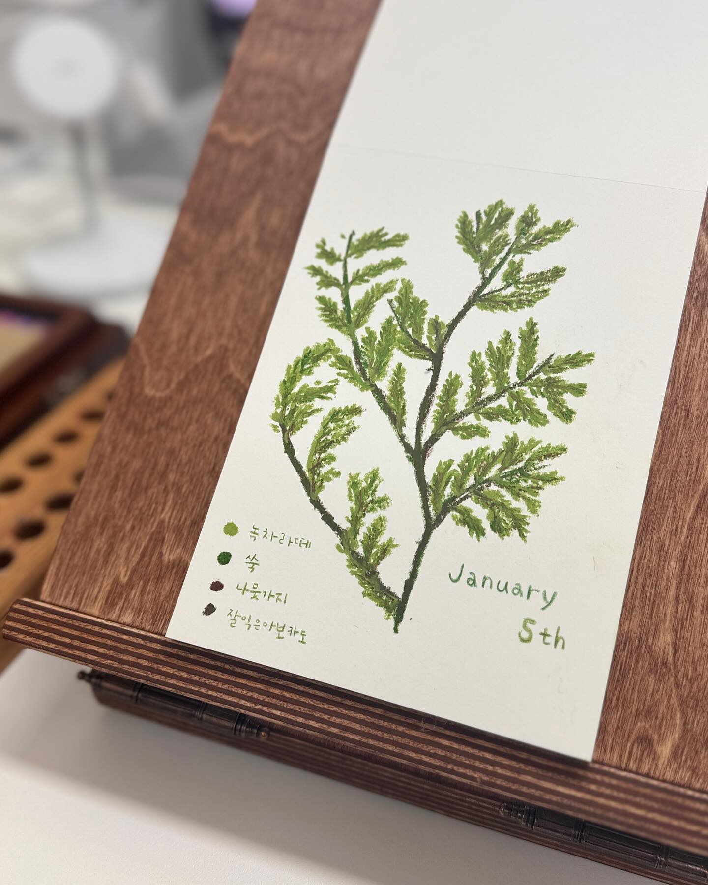 제 생일 1월 5일 탄생화 ❃ Cypress ❃ 를 그려봤어요ෆ
오일파스텔과 점점 친해지는 중인데, 이렇게 생일 기념으로 탄생화꽃그림까지 그리게 될 줄 몰랐어요🫶🏻

📍파주 운정 해오름마을 작업실 운영중
➿작업, 행사, 수강 문의 및 의뢰
➿0507-1374-7157

#일상 #데일리 #daily #christmas #ornaments #christmasornaments #illustration #watercolor #drawing #오일파스텔 #oilpastel #아빈캘리그라피디자인 #꽃 #꽃스타그램 #flower #flowerstagram #oilpastelflower #wildflower #화원오일파스텔 #cypress