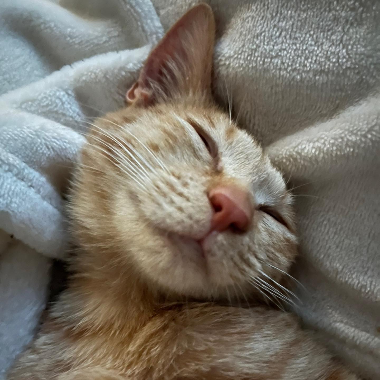 길리🐾
주인장이 안 올리니까 나라도 올려야지🤗