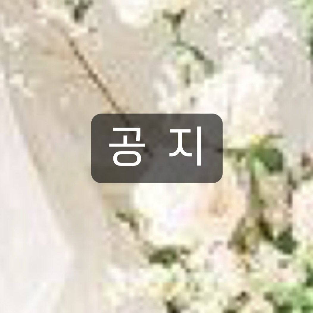 .
현재 구월동 라보일은 영업을 종료합니다.
.
2월부터 새로운 곳을 알아보기 시작할텐데요, 늦어도 4월말까지는 새로운곳에서 다시 시작을 알릴수 있을것같아요.
.
어떤식으로 운영할지는 아직도 고민중입니다.
아이디어좀 주세요….😇.
.
.

.
현 매장 계약기간이 많이 남아있어서 급하게 서두르지 않으려고 합니다(설 지나면 작업실처럼 야금야금 사용할 예정^^)
.
개인인스타는 따로없어 그동안은 이곳에 일상도 올리고 작업사진도 올리며 인스타를 열심히 해보려구요🐥.
.
그럼 이만🕺