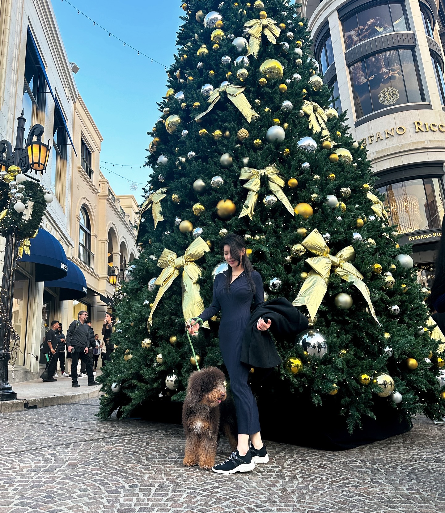 인생쓰다잉
🤢 #chocomerlepoodle #merlepoodle #rodeodrivebeverlyhills #강아지해외여행 #강아지검역 #르달링