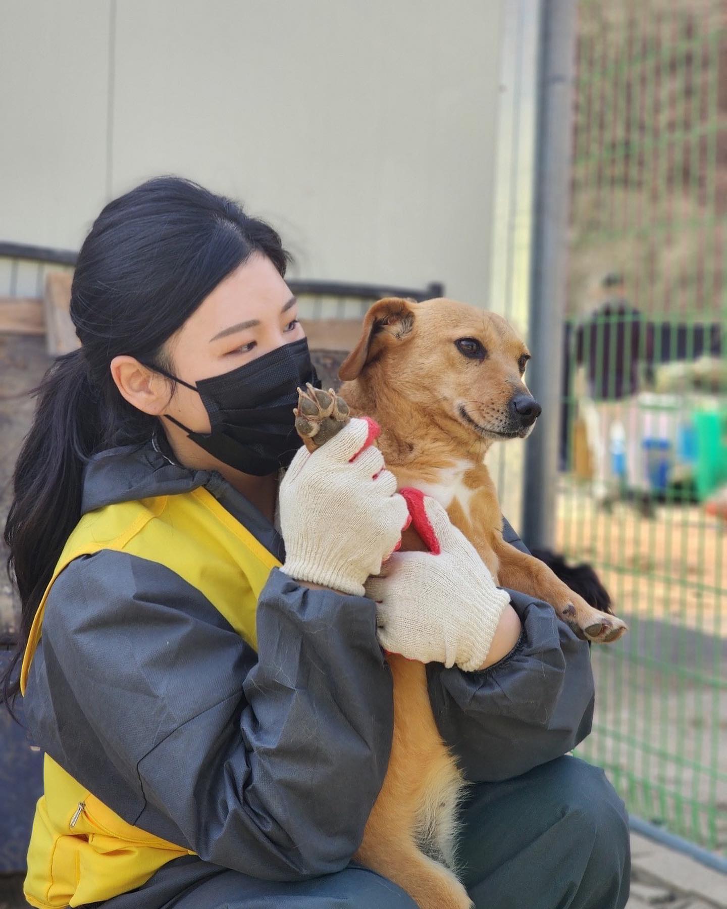 나의 작은 손길이 보탬이 되었길,,🐕

laon.tree