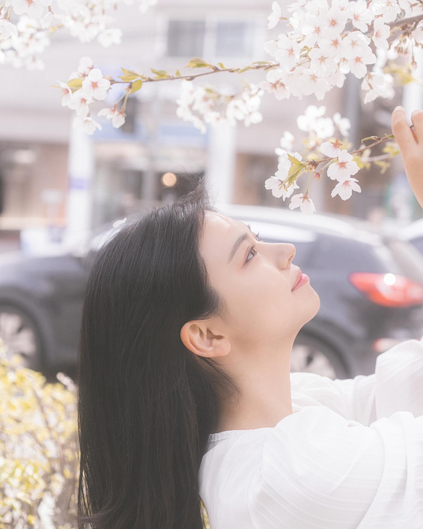🤍🌸🤍

봄바람 살랑〰️
-
이제 벚꽃은 다 지고 없지만 
벚꽃 스냅 업로드는  아직 끝나지 않았습니당☺️

📸 yymmdd_snap